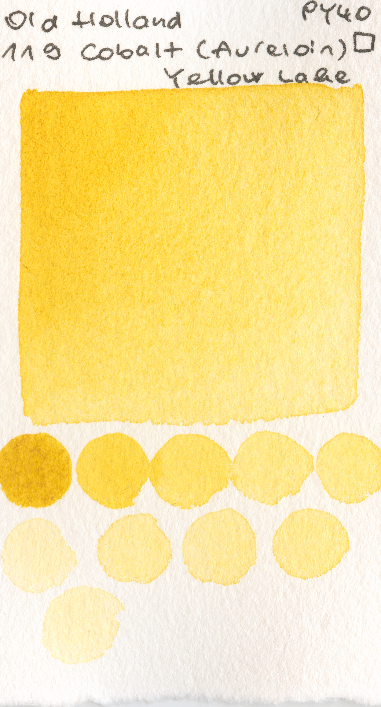 Old Holland Classic Watercolours 119 Cobalt (Aureolin) Yellow Lake PY40 watercolor swatch